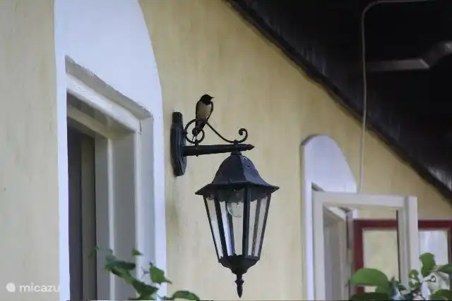 Diese Gäste kommen gerne Jährlich  wieder! 