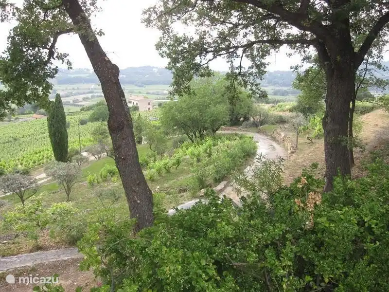 At Pine beginnt links die Einfahrt zu unserem Haus. Die Reben, die Sie auf der linken und rechten Seite der Straße sehen, gehören in den Bereich der Sinn Wille.