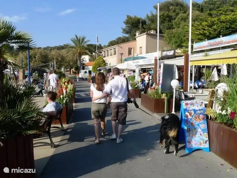 La Madraque ist ein Fischerdorf an der gleichen Bucht und ist auch nur 10 Minuten Fahrt vom Sinn Wille. La Madraque hat auch einen Strand, einen Jachthafen und eine Promenade. Der Boulevard ist kleiner als die von Saint Cyr sur Mer. Im Hafen schaukeln vielen bunten Fischerbooten.