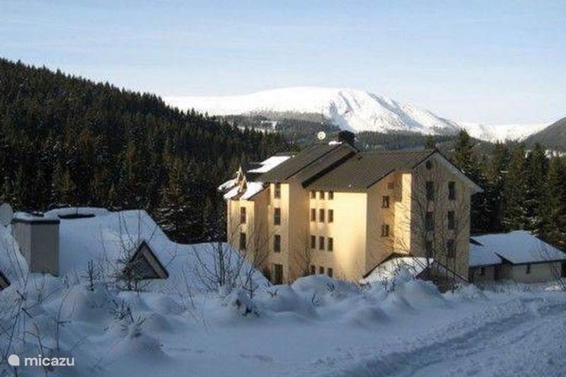 Vacation rental Czech Republic, Giant Mountains, Pec Pod Snezkou Apartment Skiresort Pec Poustevnik A45