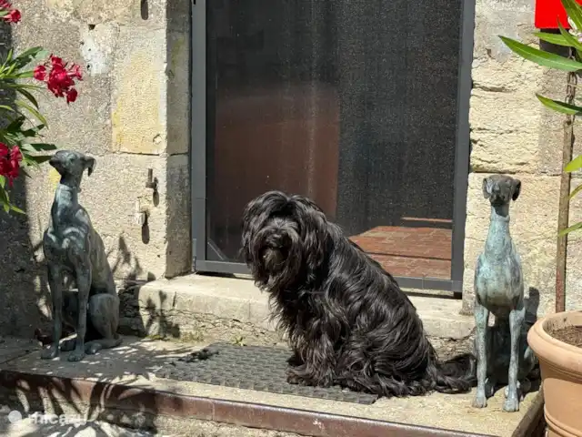 Location de Vacances France, Loire, Sancerre, gîte / cottage - Les Jours Heureux près de Sancerre/Loire Et voici Loyd, qui y a passé ses vacances et, selon ses propriétaires, a couru dans le jardin. Loyd est un terrier tibétain !
