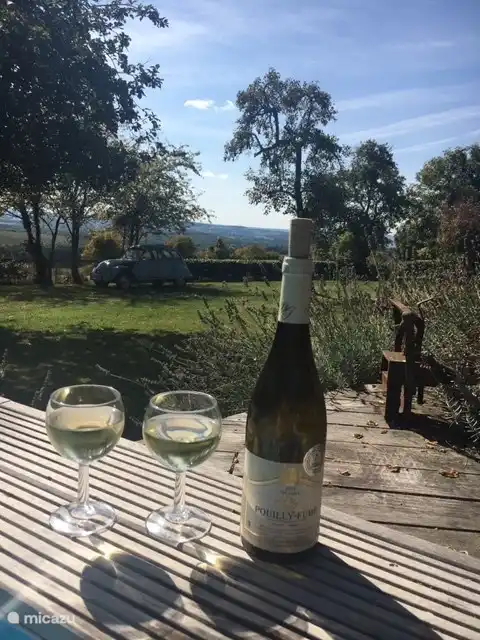 You can buy this delicious Pouilly Fumé, just like the famous Sancerre wine, from various wineries.