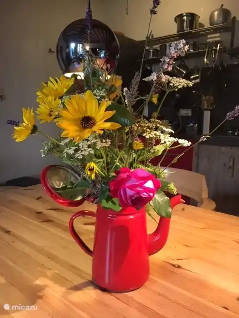 In summer and autumn you can pick plenty of flowers.