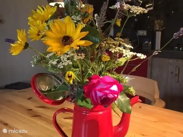 Location de Vacances France, Loire, Sancerre, gîte / cottage - Les Jours Heureux près de Sancerre/Loire En été et en automne, vous pouvez cueillir beaucoup de fleurs.