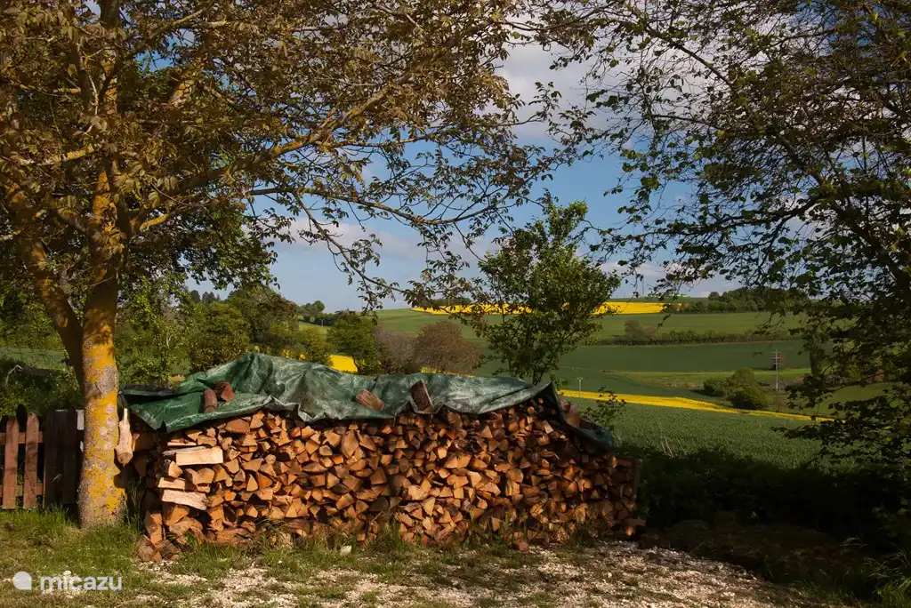 Cold and unhealthy? The fuel for the wood stoves is ready.