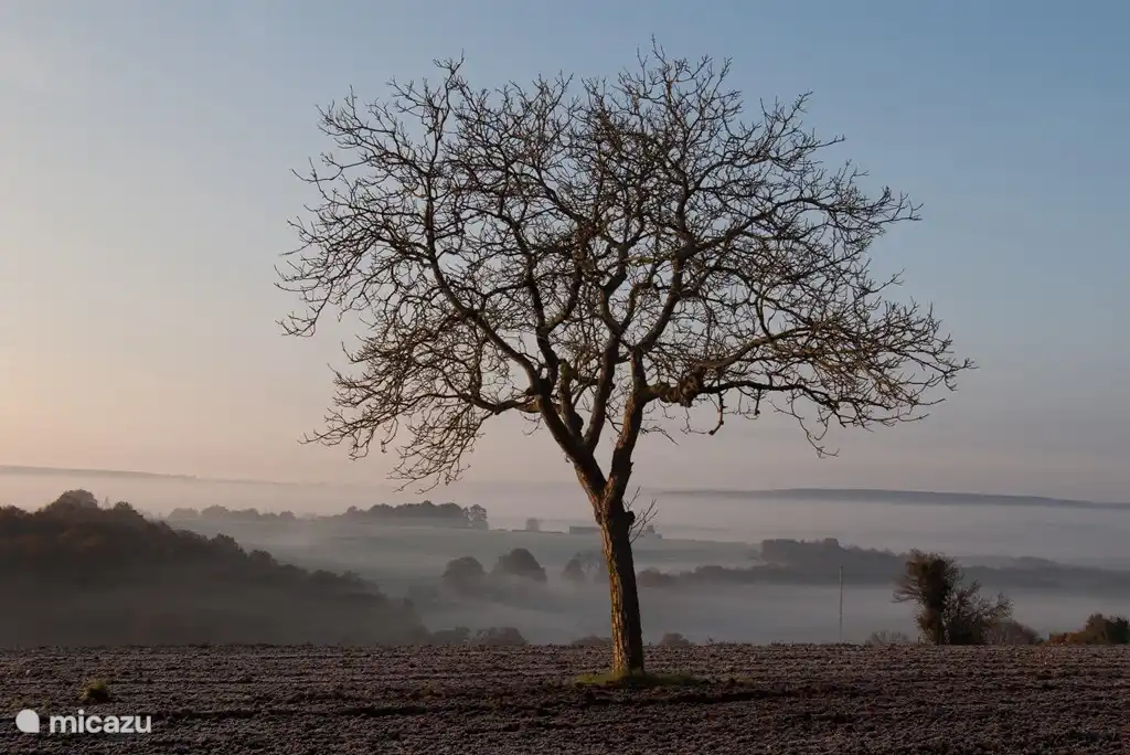As beautiful as the winter can be; in the early morning sun the mist disappears from the adjacent field.