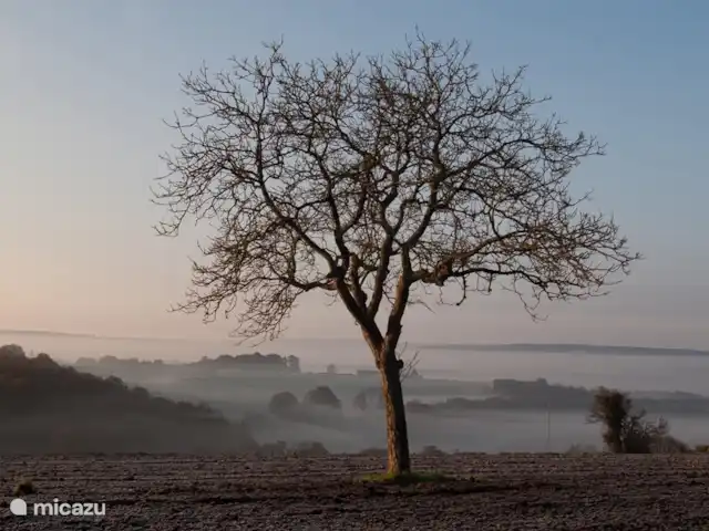 Location de Vacances France, Loire, Sancerre, gîte / cottage - Les Jours Heureux près de Sancerre/Loire Aussi beau que l'hiver puisse être; au soleil du petit matin, la brume se dissipe du champ adjacent.