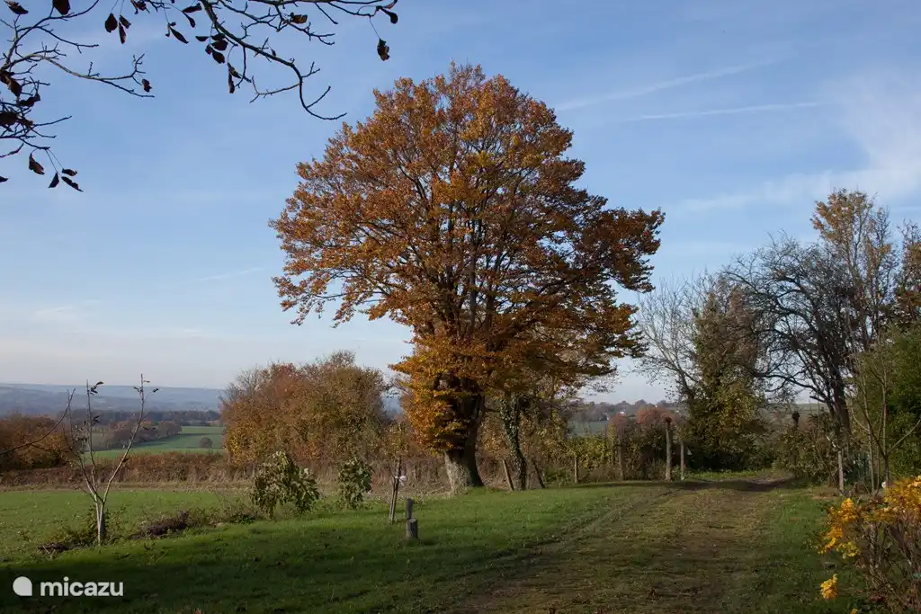 This site still belongs to the house, at the end a beautiful hiking trail begins.