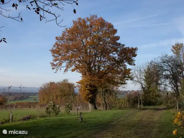 Location de Vacances France, Loire, Sancerre, gîte / cottage - Les Jours Heureux près de Sancerre/Loire Ce site appartient toujours à la maison, à la fin un beau sentier de randonnée commence.