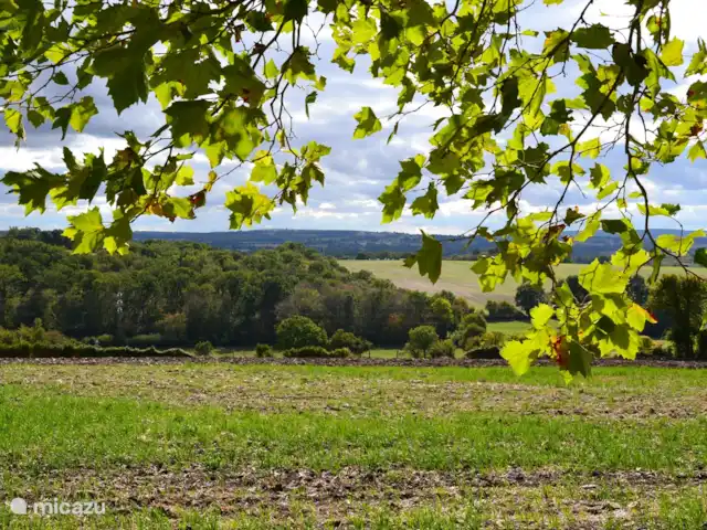 Location de Vacances France, Loire, Sancerre, gîte / cottage - Les Jours Heureux près de Sancerre/Loire Ici, vous pourrez vous détendre sous le platane.