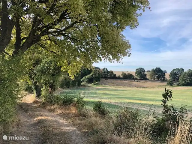 Location de Vacances France, Loire, Sancerre, gîte / cottage - Les Jours Heureux près de Sancerre/Loire Vue depuis le terrain.
