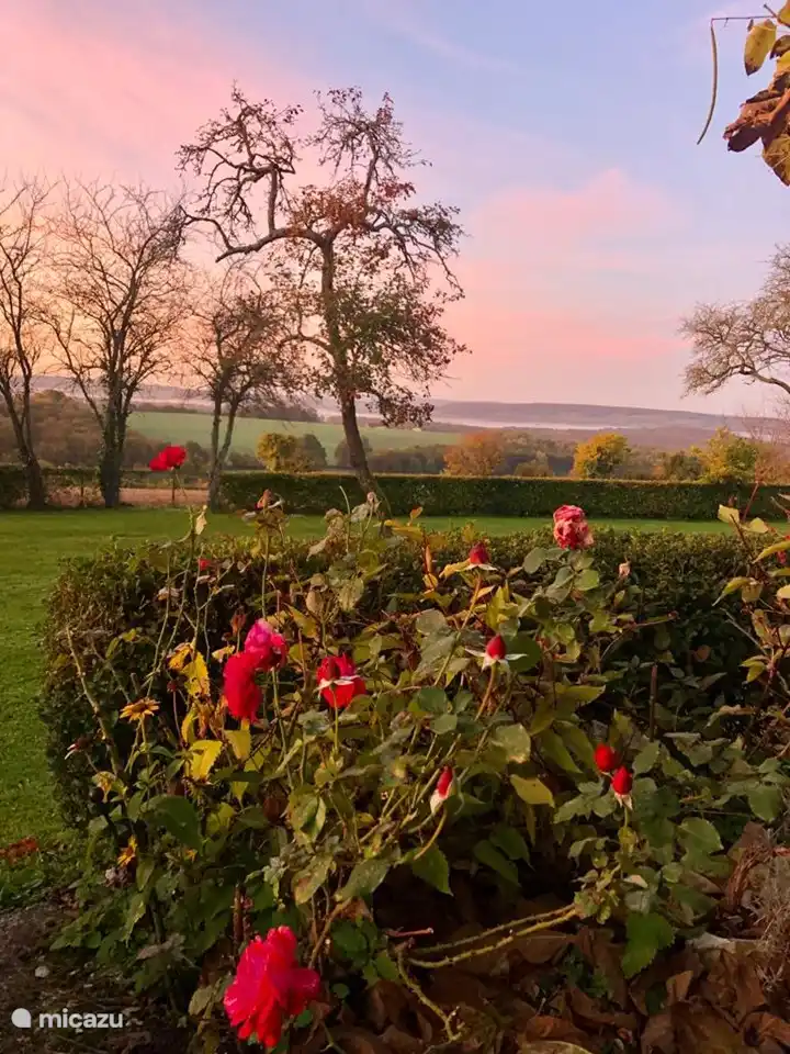 View from the terrace.