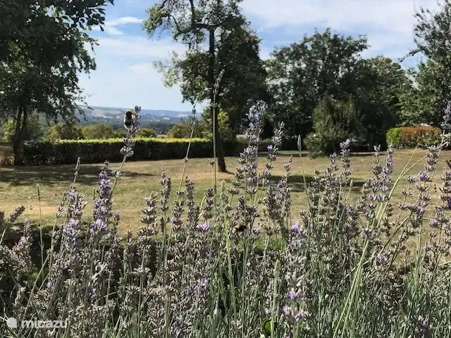 Location de Vacances France, Loire, Sancerre, gîte / cottage - Les Jours Heureux près de Sancerre/Loire