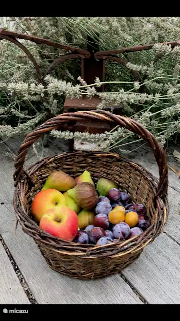 Fruit from your own garden.