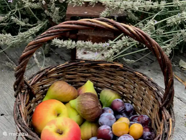 Location de Vacances France, Loire, Sancerre, gîte / cottage - Les Jours Heureux près de Sancerre/Loire Fruits de votre propre jardin.