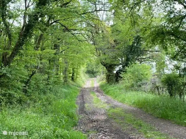 Location de Vacances France, Loire, Sancerre, gîte / cottage - Les Jours Heureux près de Sancerre/Loire