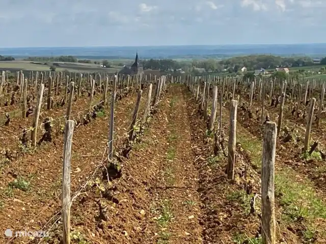 Location de Vacances France, Loire, Sancerre, gîte / cottage - Les Jours Heureux près de Sancerre/Loire Les vignes de Sancerre.