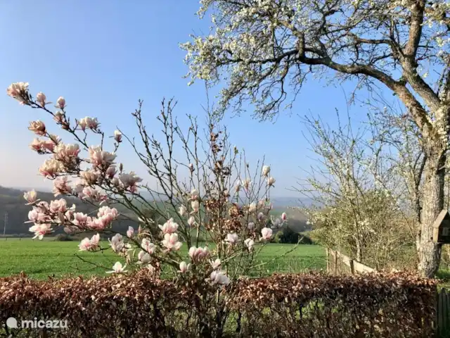 Location de Vacances France, Loire, Sancerre, gîte / cottage - Les Jours Heureux près de Sancerre/Loire