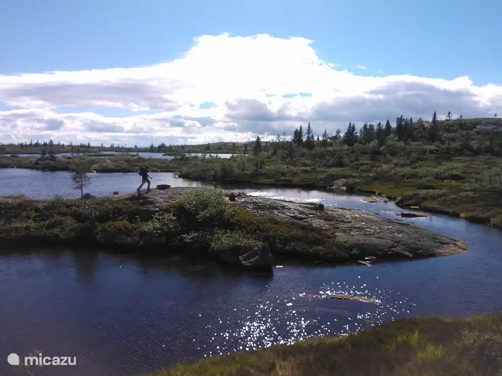 Schöner Spaziergang durch die Natur