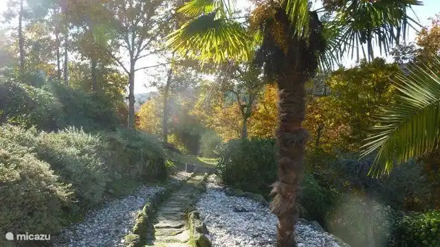 Ein Herbstbild: der Garten Pfad, der in unserem Wald verwandelt