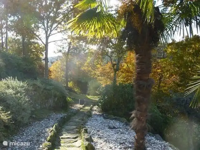 villa en Portugal, Viseu, Casfreires – Villa Casa Renata Una imagen de otoño: el camino del jardín que se convierte en nuestro camino forestal