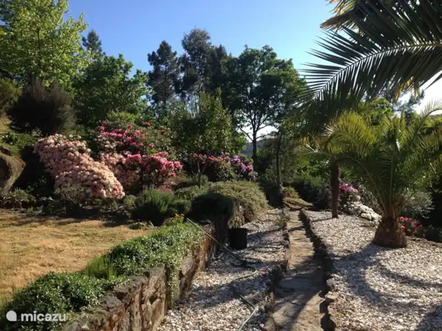 villa en Portugal, Viseu, Casfreires – Villa Casa Renata El mismo camino en la primavera. Aquí comienza 1 de los muchos hermosos paseos que puede realizar desde nuestro sitio.