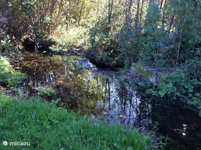 villa en Portugal, Viseu, Casfreires – Villa Casa Renata Un pequeño río atraviesa el valle, en esta parte de Portugal se puede caminar libremente. No encontrarás ningún cartel con acceso prohibido.