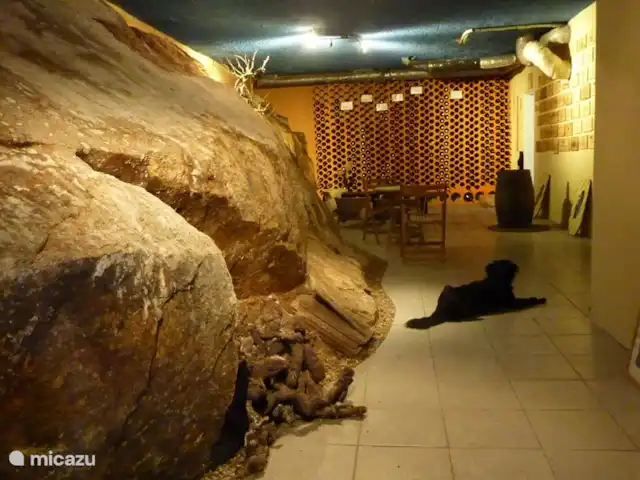 villa en Portugal, Viseu, Casfreires – Villa Casa Renata la bodega, un buen lugar para disfrutar de una copa de vino en los días cálidos.