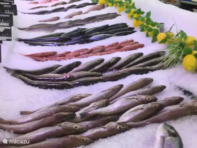 Le Petit Paradis | France, Hérault, Faugères - bungalow Poissons de Méditerranée