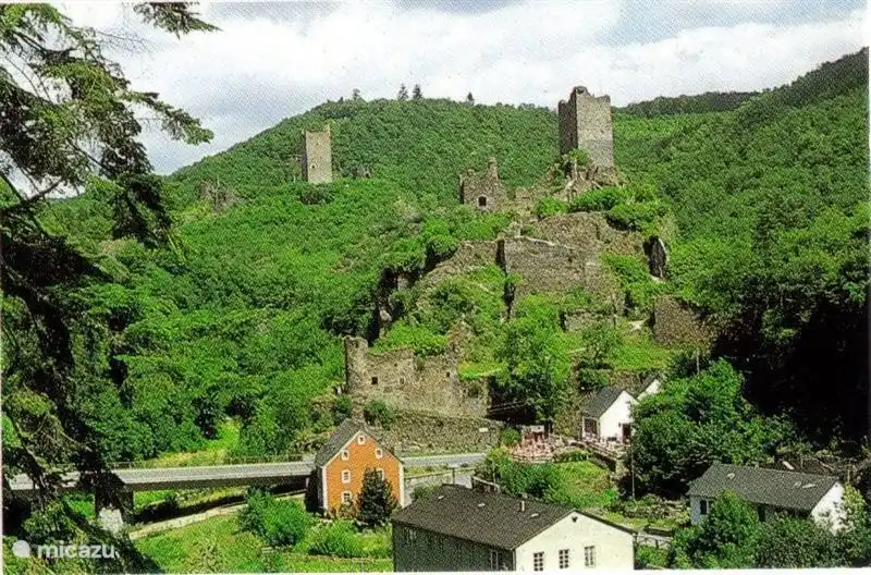 Manderscheider Burgen