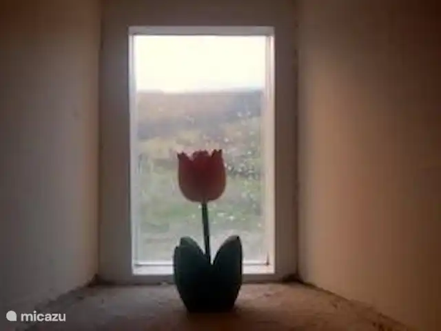 vakantiehuis huren in Groot-Brittannië, Cumbria, Nenthead – Cotterill Barn en tulpen ook