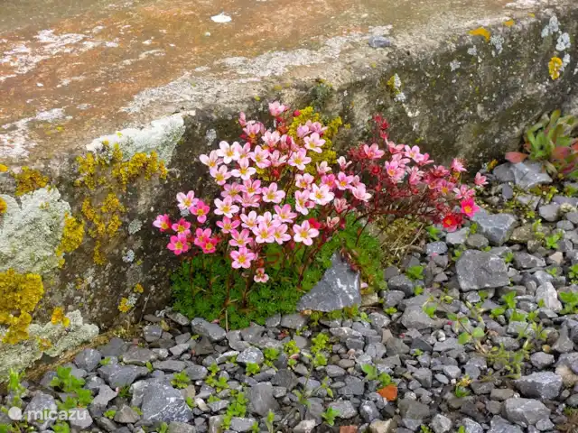 vakantiehuis huren in Groot-Brittannië, Cumbria, Nenthead – Cotterill Barn stenen met kleur accenten