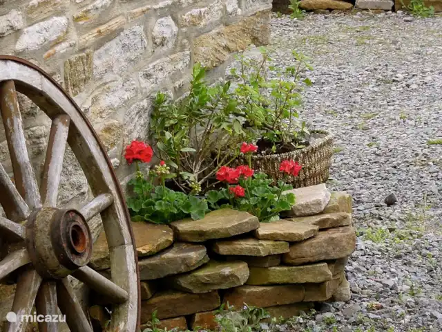 vakantiehuis huren in Groot-Brittannië, Cumbria, Nenthead – Cotterill Barn geraniums horen bij een Barn