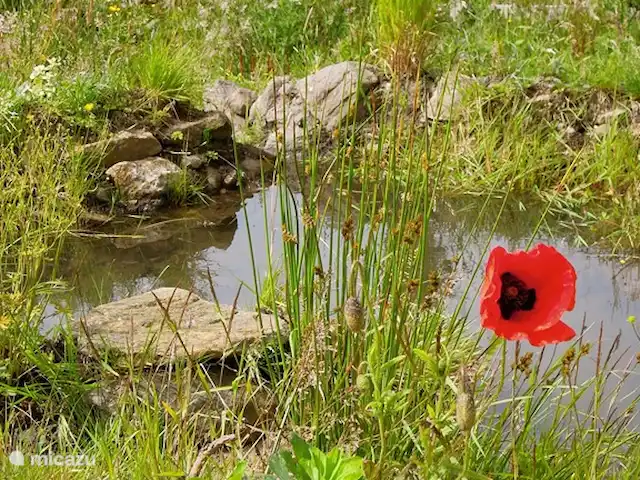 vakantiehuis huren in Groot-Brittannië, Cumbria, Nenthead – Cotterill Barn de zelfgegraven vijver