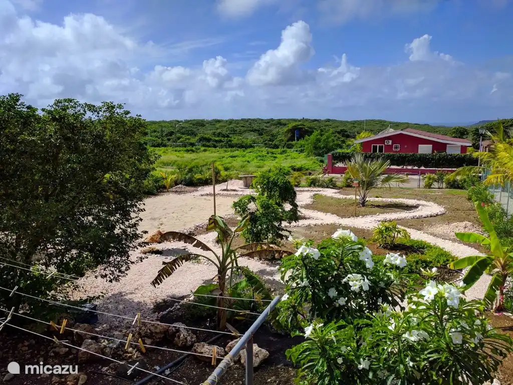 Garden view with Vollebal field!