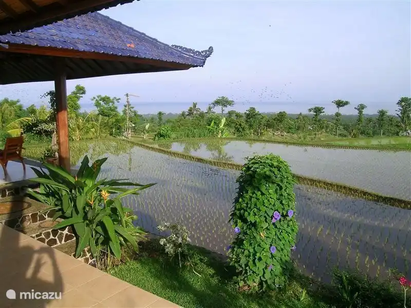 Rent Rumah Pantai, Jasri 14 Bali Styling in Jasri, Bali 