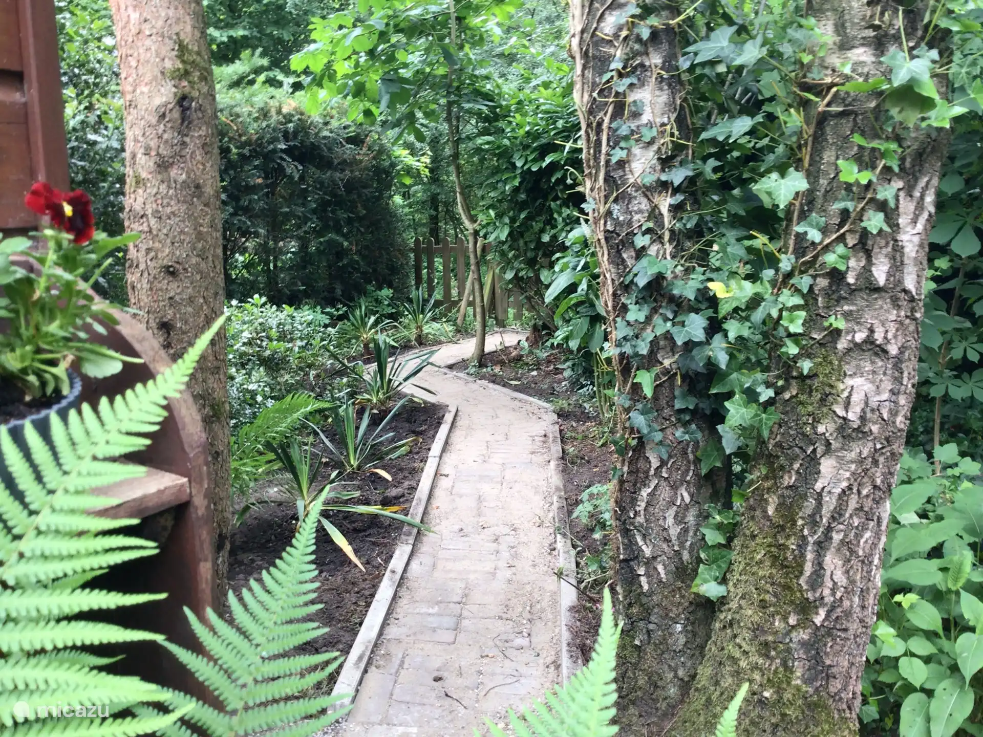 Ce chemin spécialement construit donne accès aux vastes forêts et landes de Veluwe. Un point d’eau pour la faune à moins de 10 minutes à pied