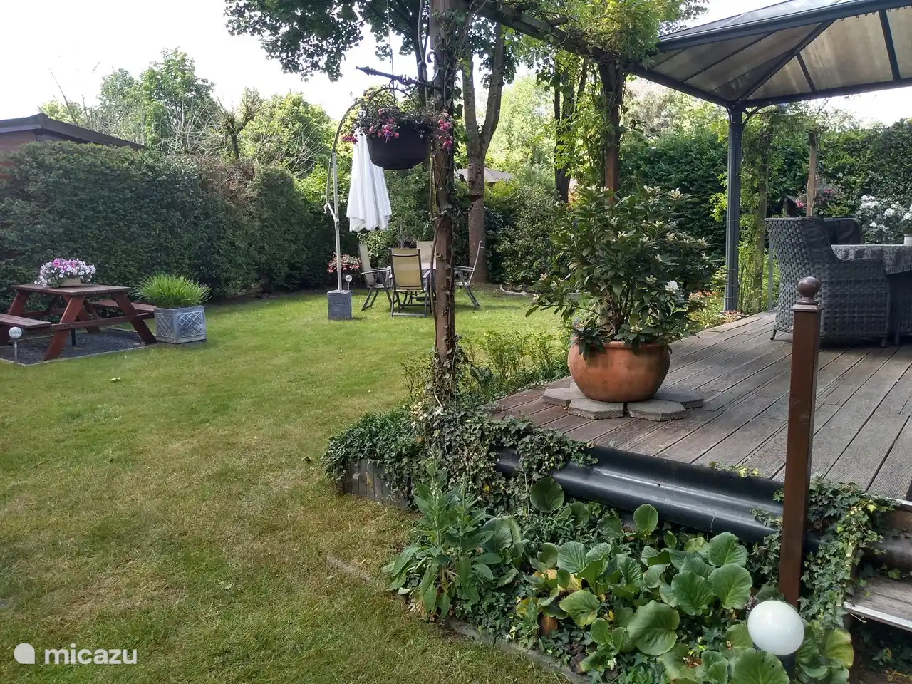 Blühende Pflanzen das ganze Jahr über