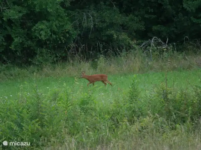 Le Repo en Francia, Dordoña, Cazals  - villa Naturaleza