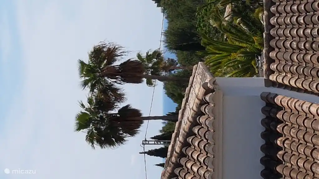 Modesta vista al mar