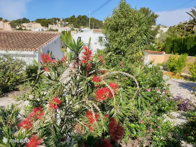 El viaje de la MARIPOSA, San Jaime huren in Spanje, Costa Blanca, Moraira - villa In de tuin vind je een grote verscheidenheid aan mediterrane beplanting.