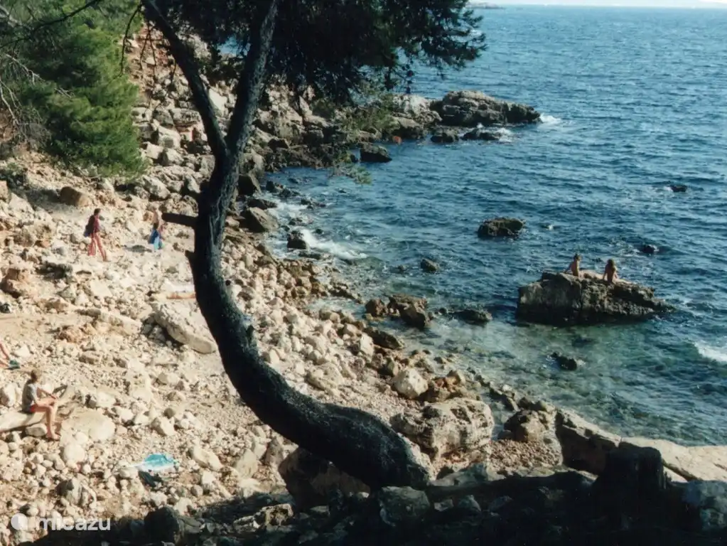 Zum Schnorcheln und Tauchen muss man an den felsigen Stränden sein.