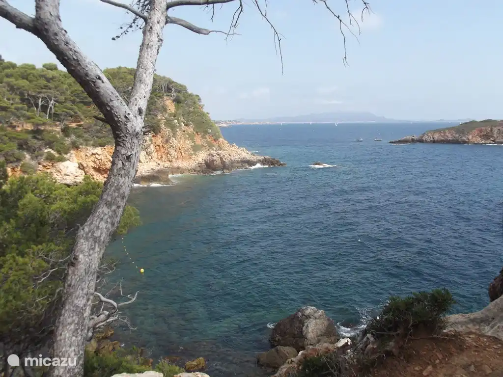 Schöne Wanderung entlang des Littoral.