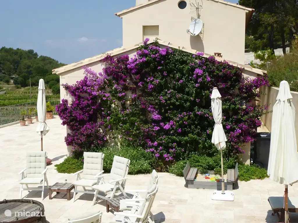 Das Bougainvillea in Schlafzimmer 1 ist in fünf Jahren erheblich gewachsen.