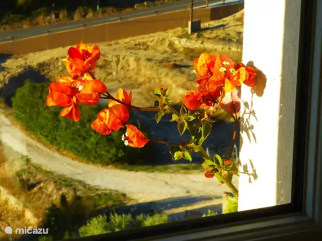Spacieuse, très spacieuse villa Lou Paradou | France, Côte d'Azur, Bandol - villa Bougainvillier orange