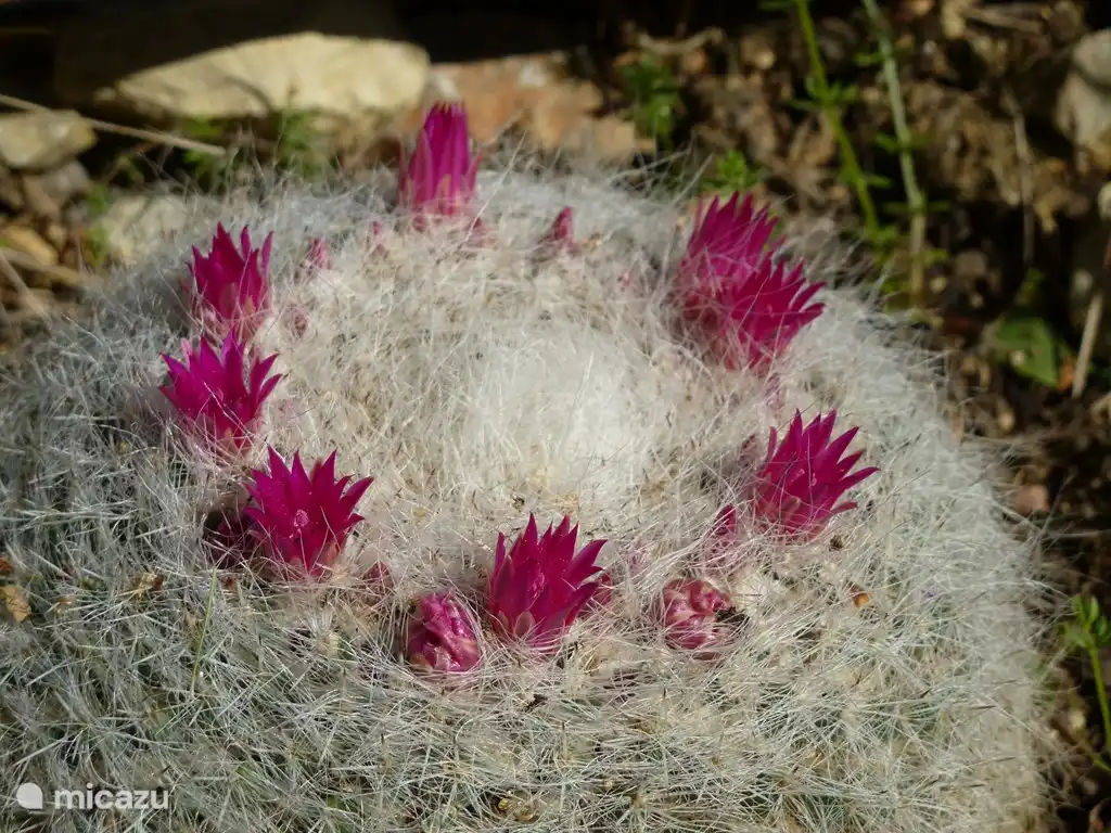 Manchmal faszinierend im Design.