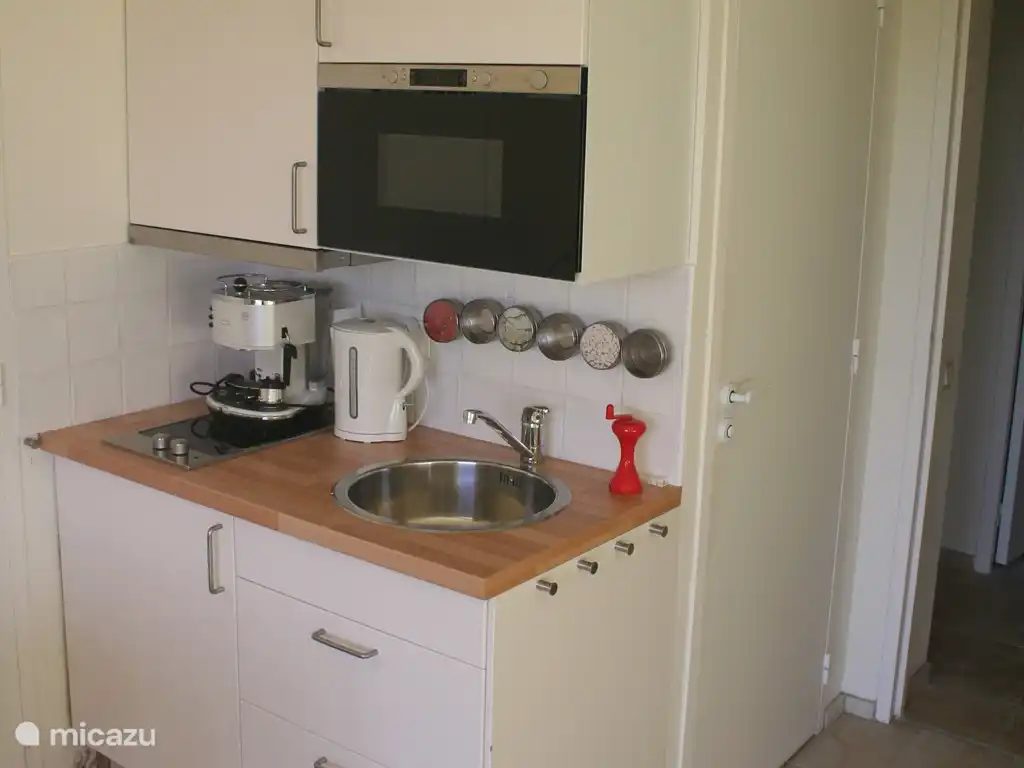 Die Küche verfügt über einen Herd, einen Wasserkocher, eine Mikrowelle, einen Backofen, eine Spüle und einen Kühlschrank.