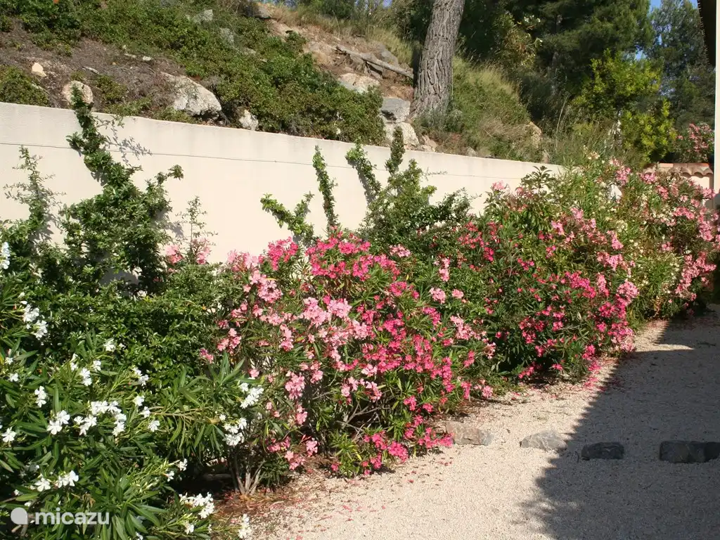 Die Cour ist der Eingang zum Haus.