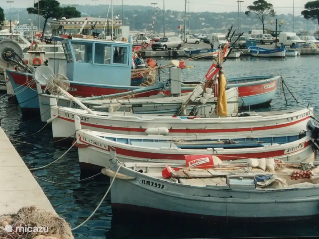 Die alten hölzernen Fischerboote (Pointus) werden noch verwendet.