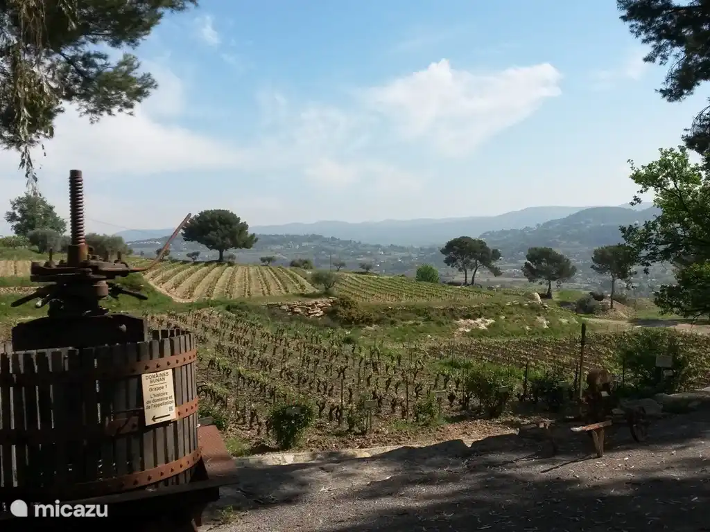 Zentrum eines sehr berühmten Appellation Controlée